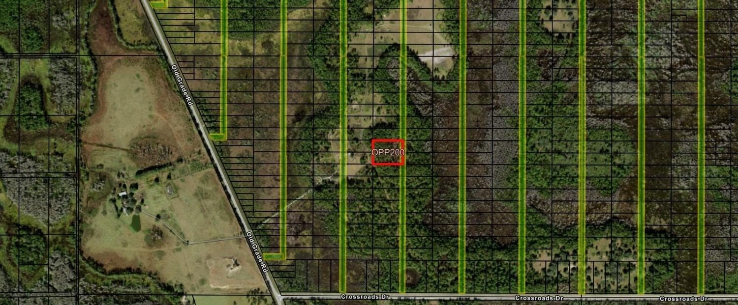 Hunting Land with Trail Access