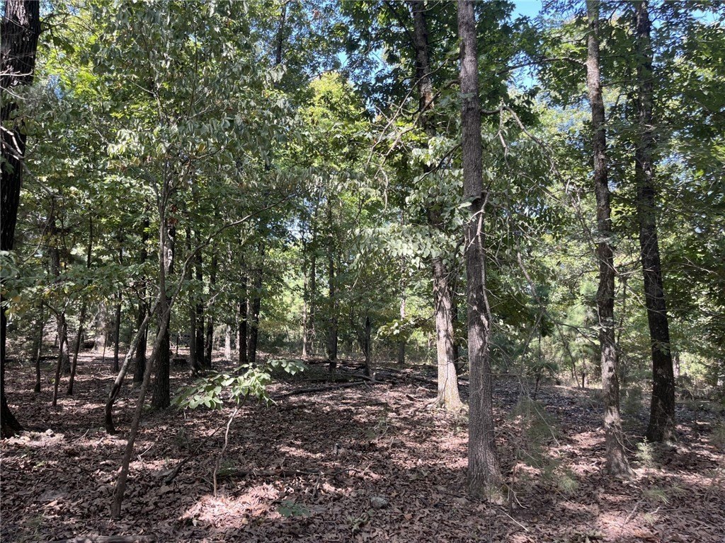 Picture 21