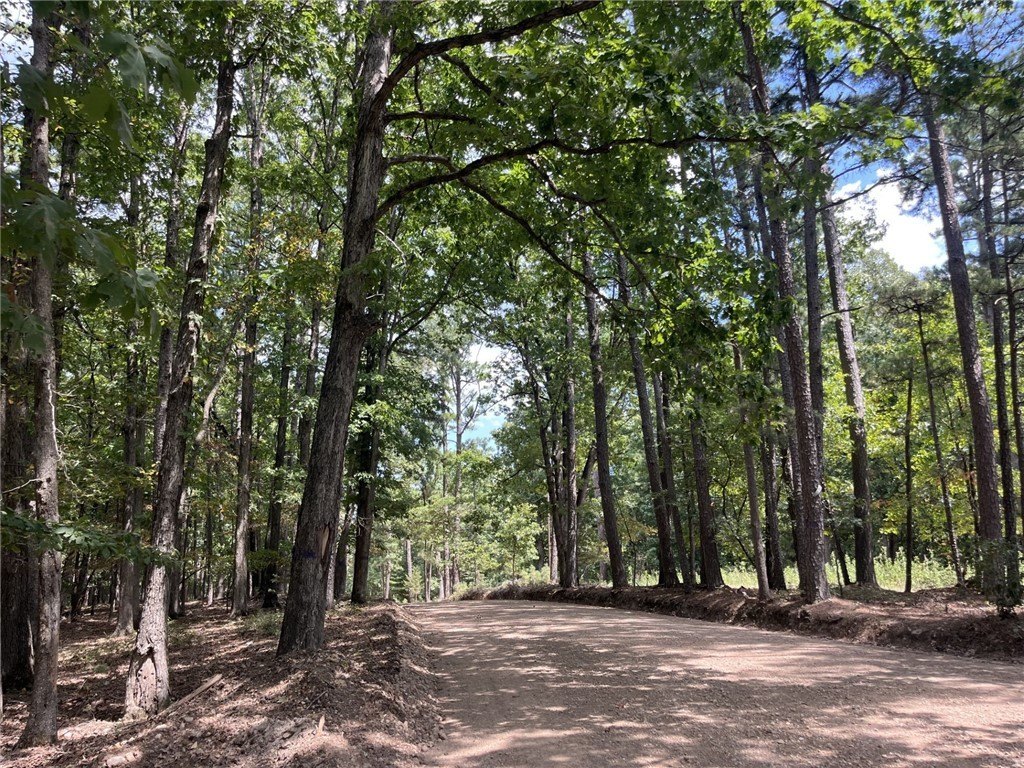 Picture 9