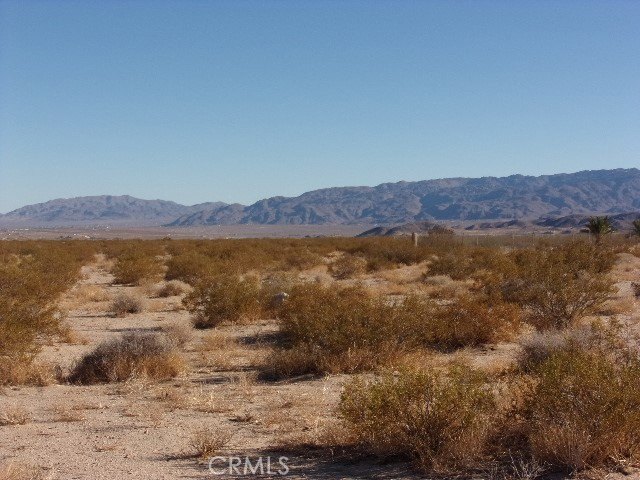 Picture 5