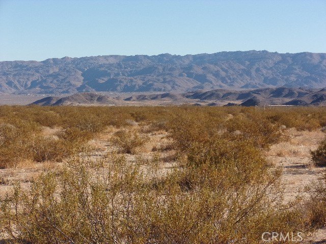 Picture 7