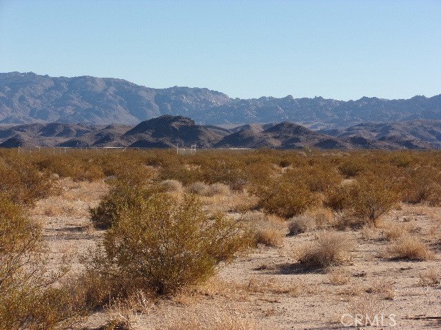 Picture 6