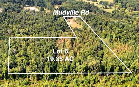 Unrestricted Land Near Millington Amenities