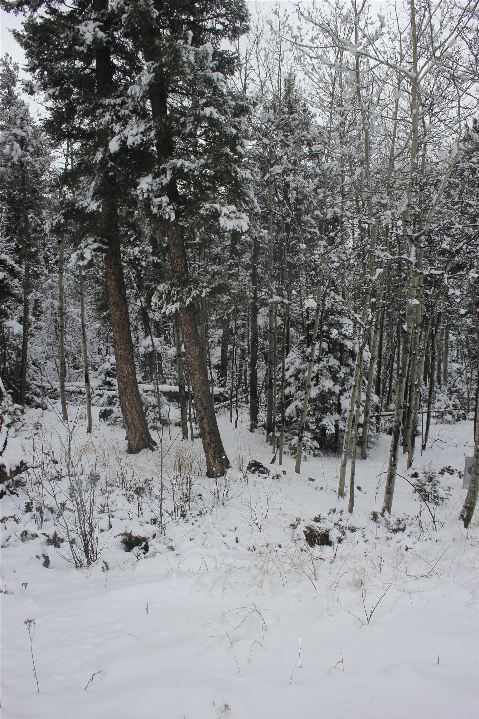 Angel Fire Land For Sale