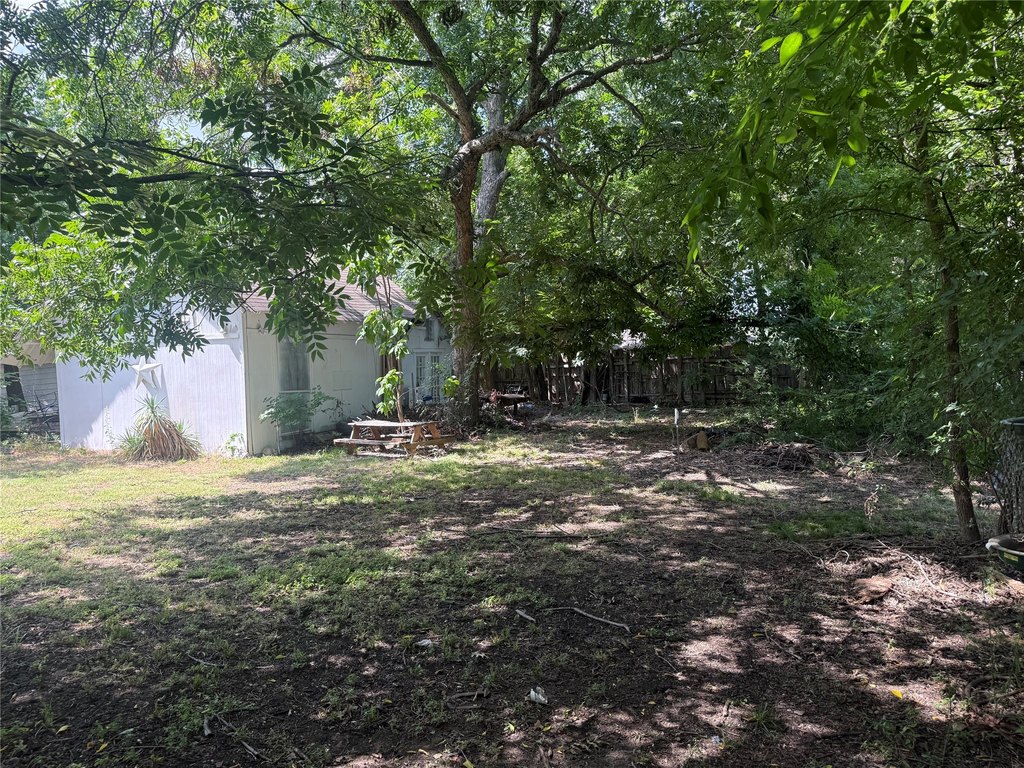 Picture 28