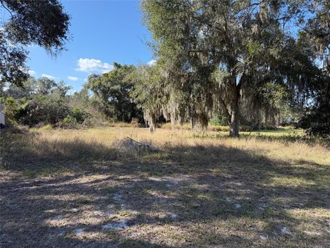 Mascotte Vacant Land Opportunity