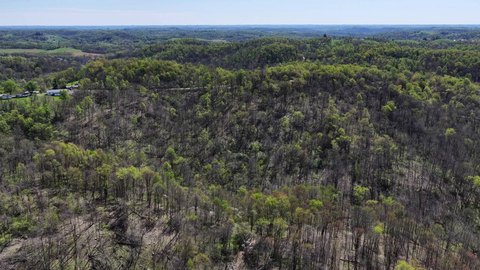 Hunting Land with Creek and Build Sites