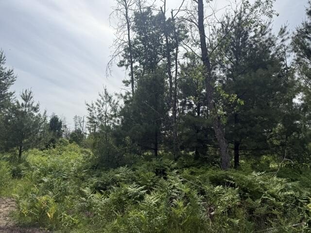 Picture 6
