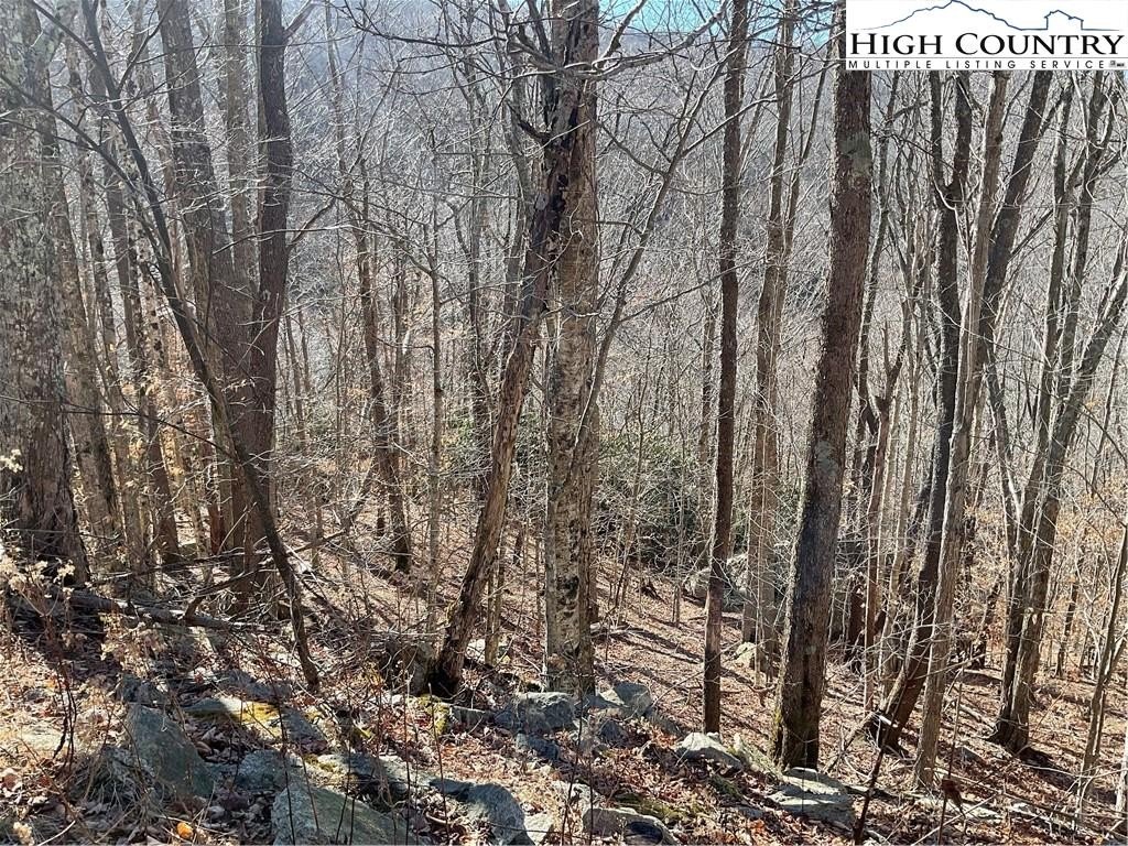 Sloping Lot with Mountain Views