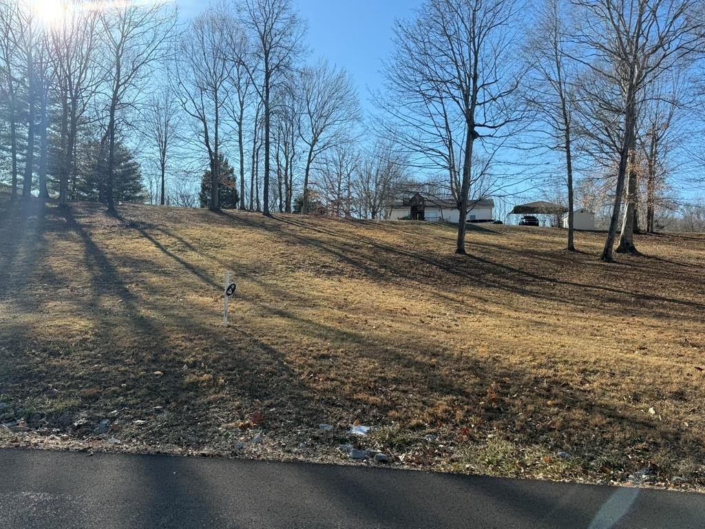 Cleared Lot Ready for Building