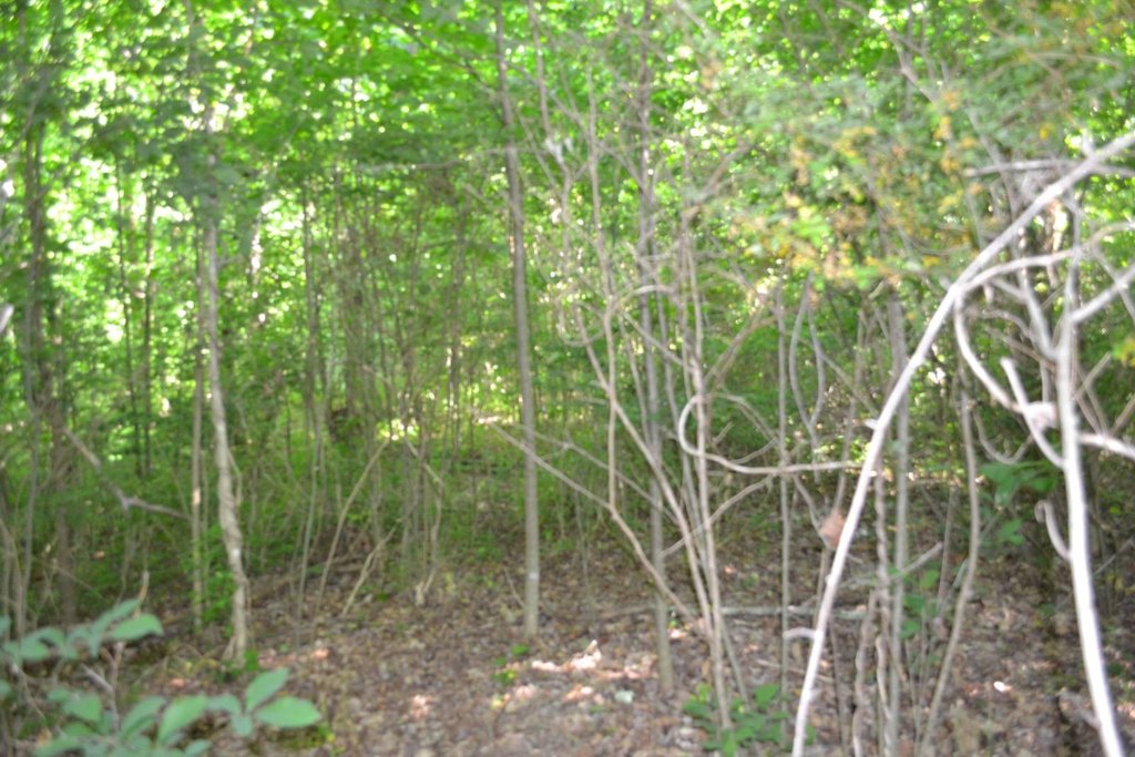 Picture 10