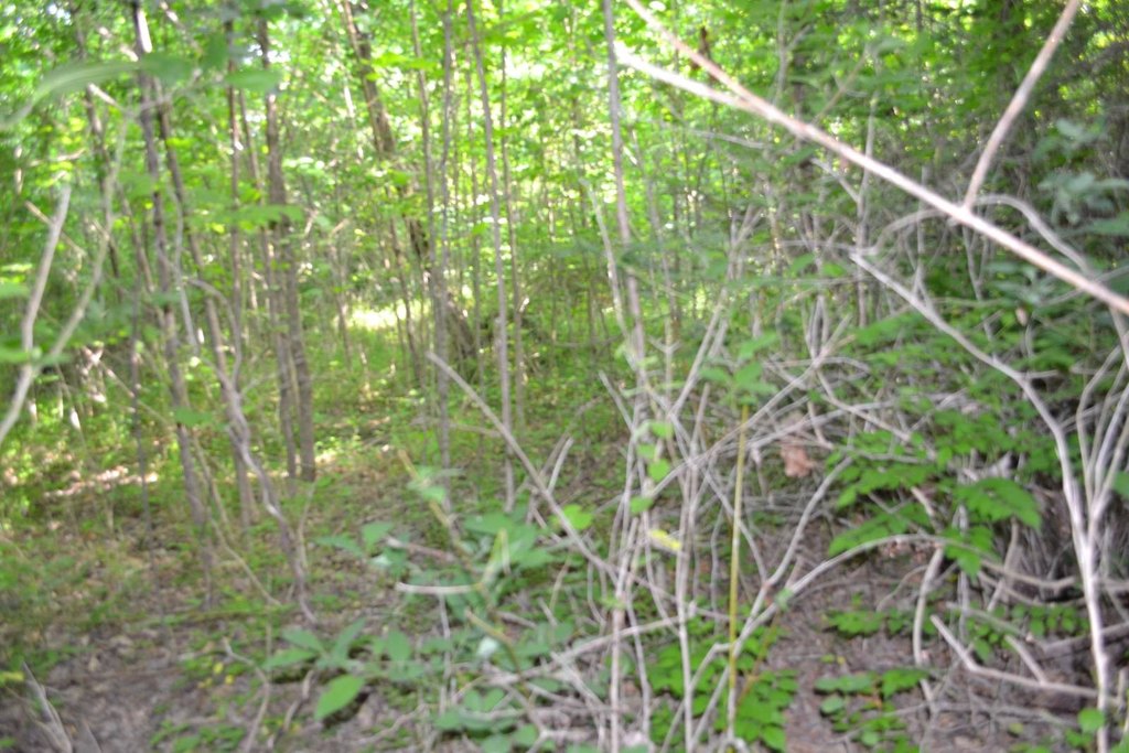 Picture 15