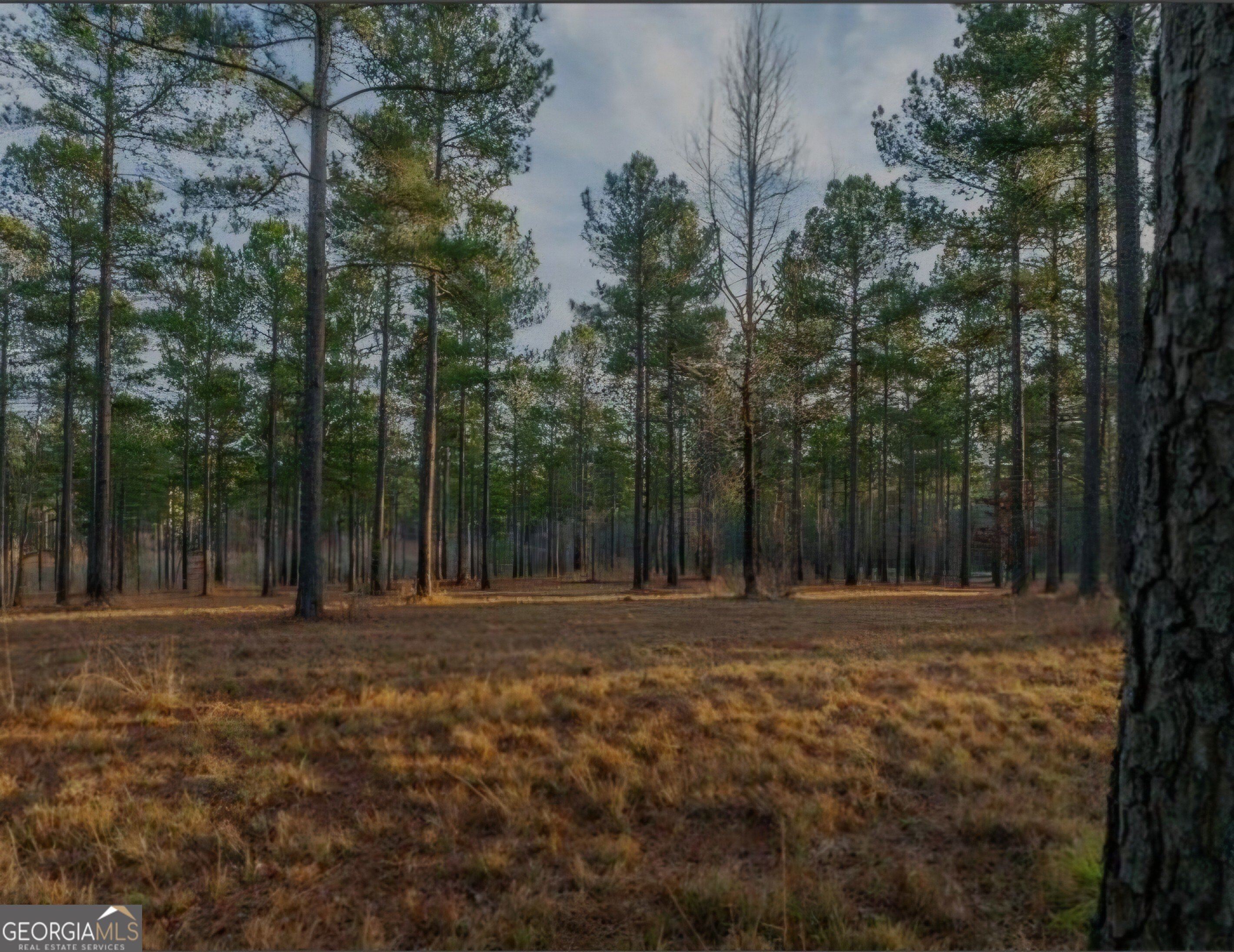 Equestrian Lot in Overlook