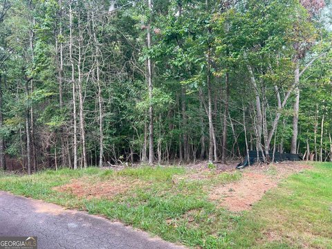 Land with Lake Lanier Views