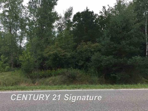 Vacant Land in Merrill, MI