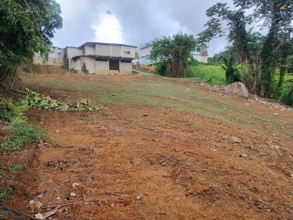 Picture 14