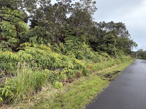 Wooded Land Near Volcano Village