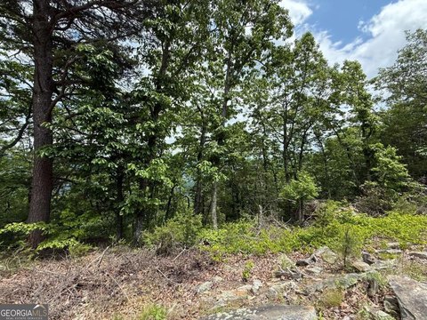 Picture of Land at Hwy 157, Menlo, GA