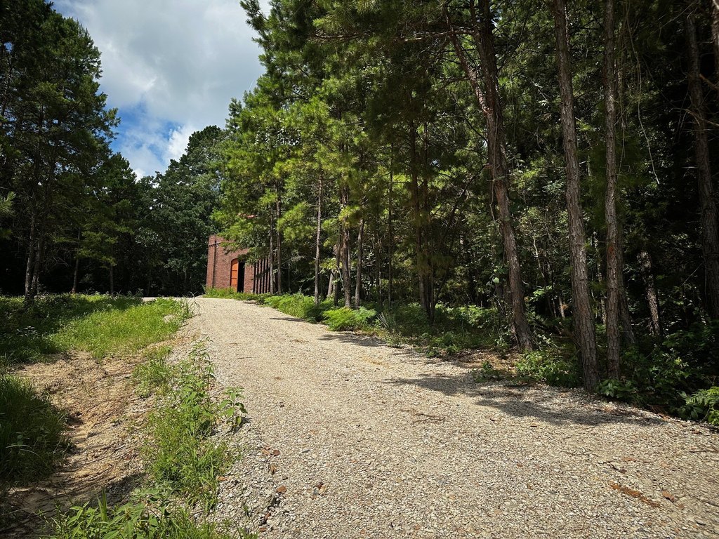 Picture 23