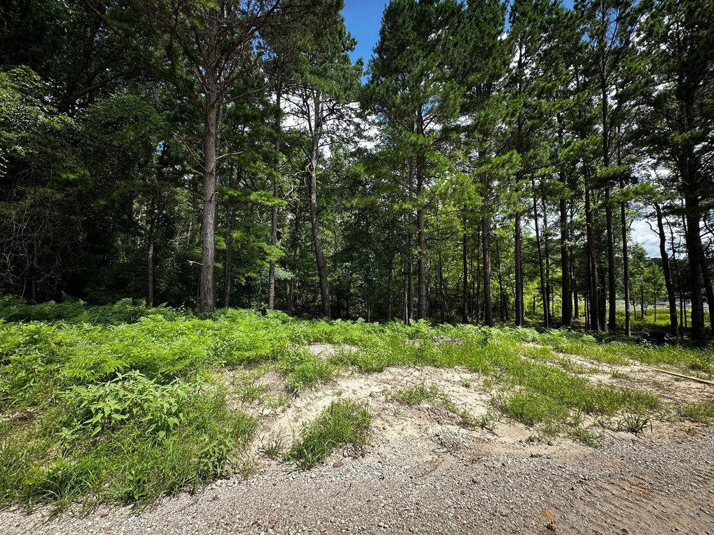 Picture 28
