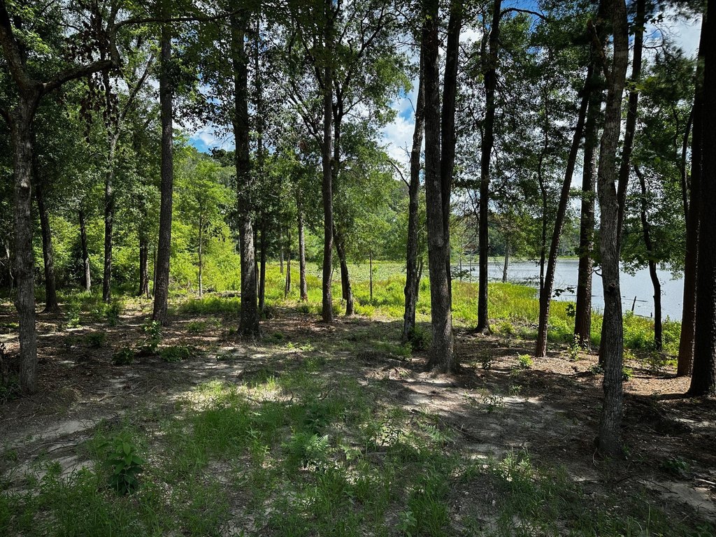 Picture 18