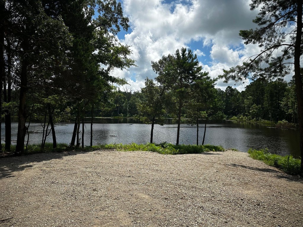 Picture 19