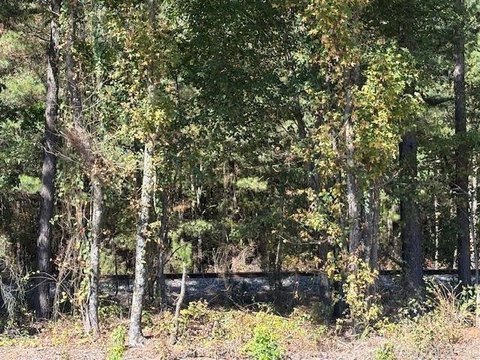 48 Acres Landlocked Land, Hope