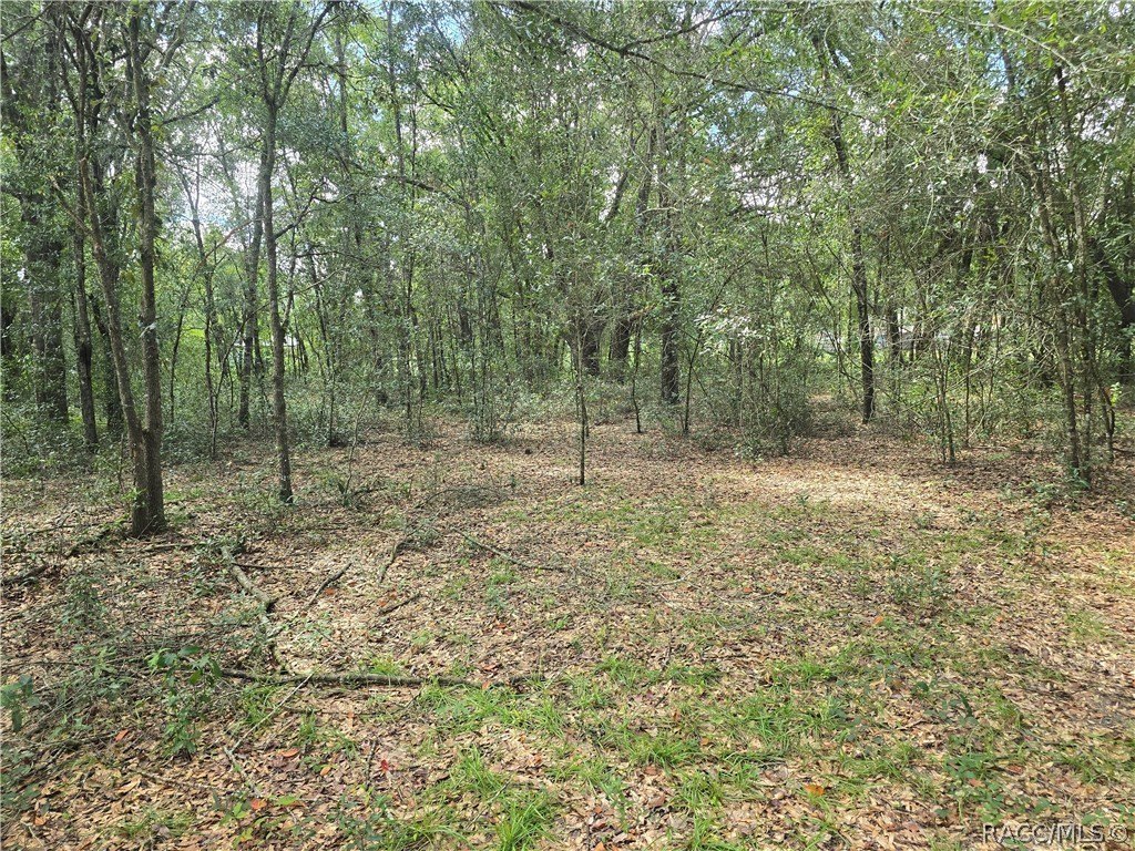 Picture 12