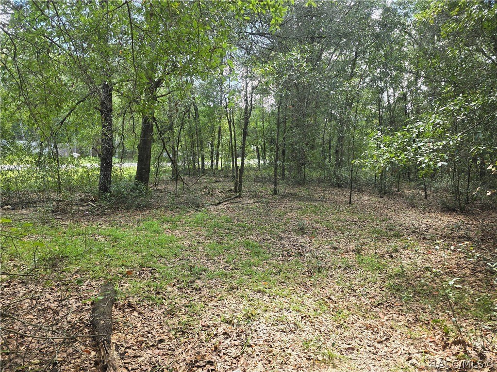 Picture 10