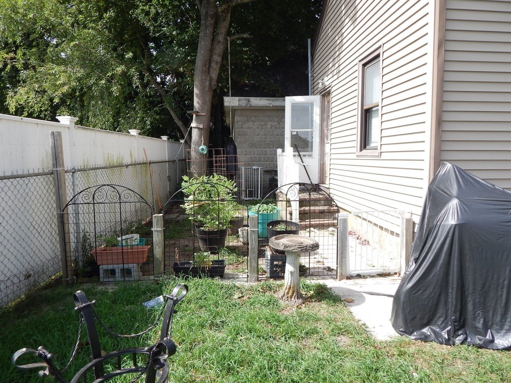 Picture 17
