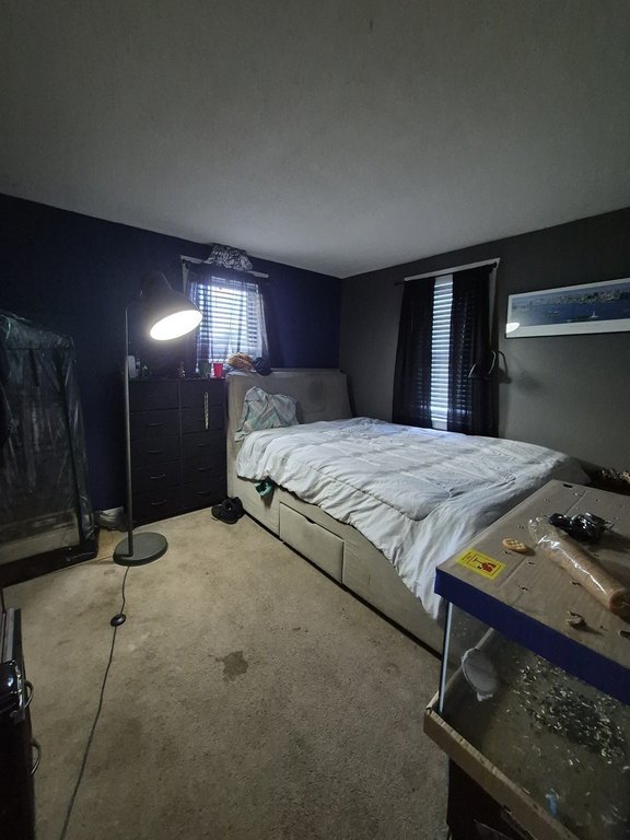 Picture 21