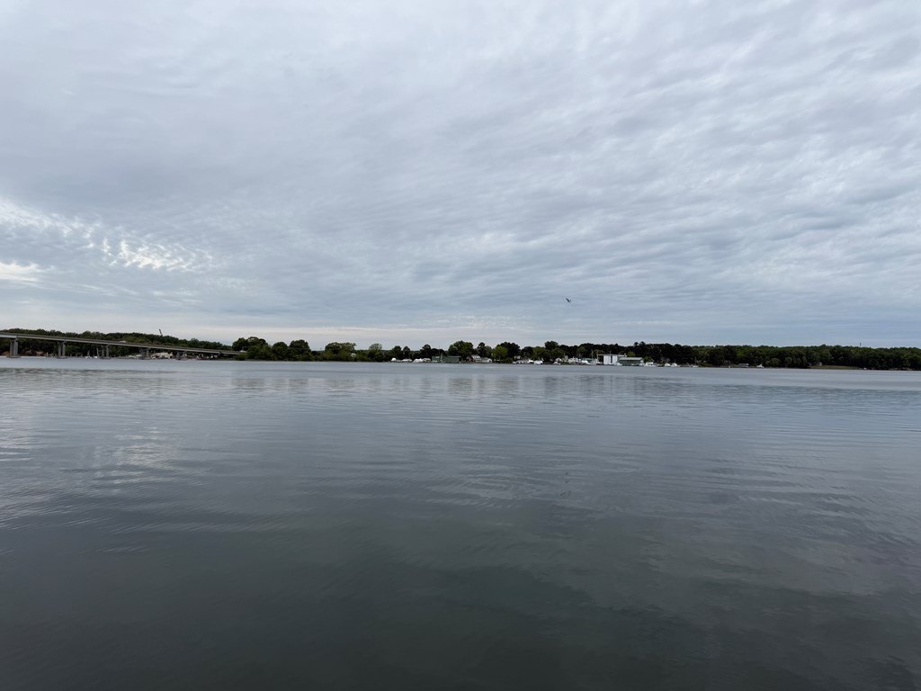 Picture 24