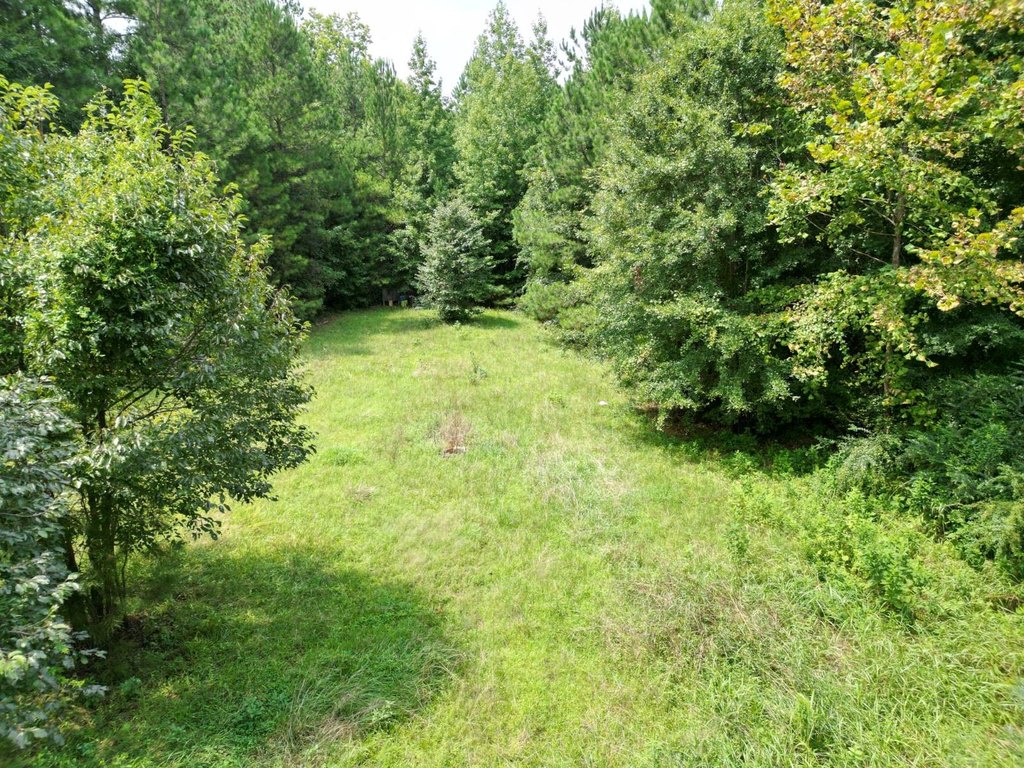 Picture 8