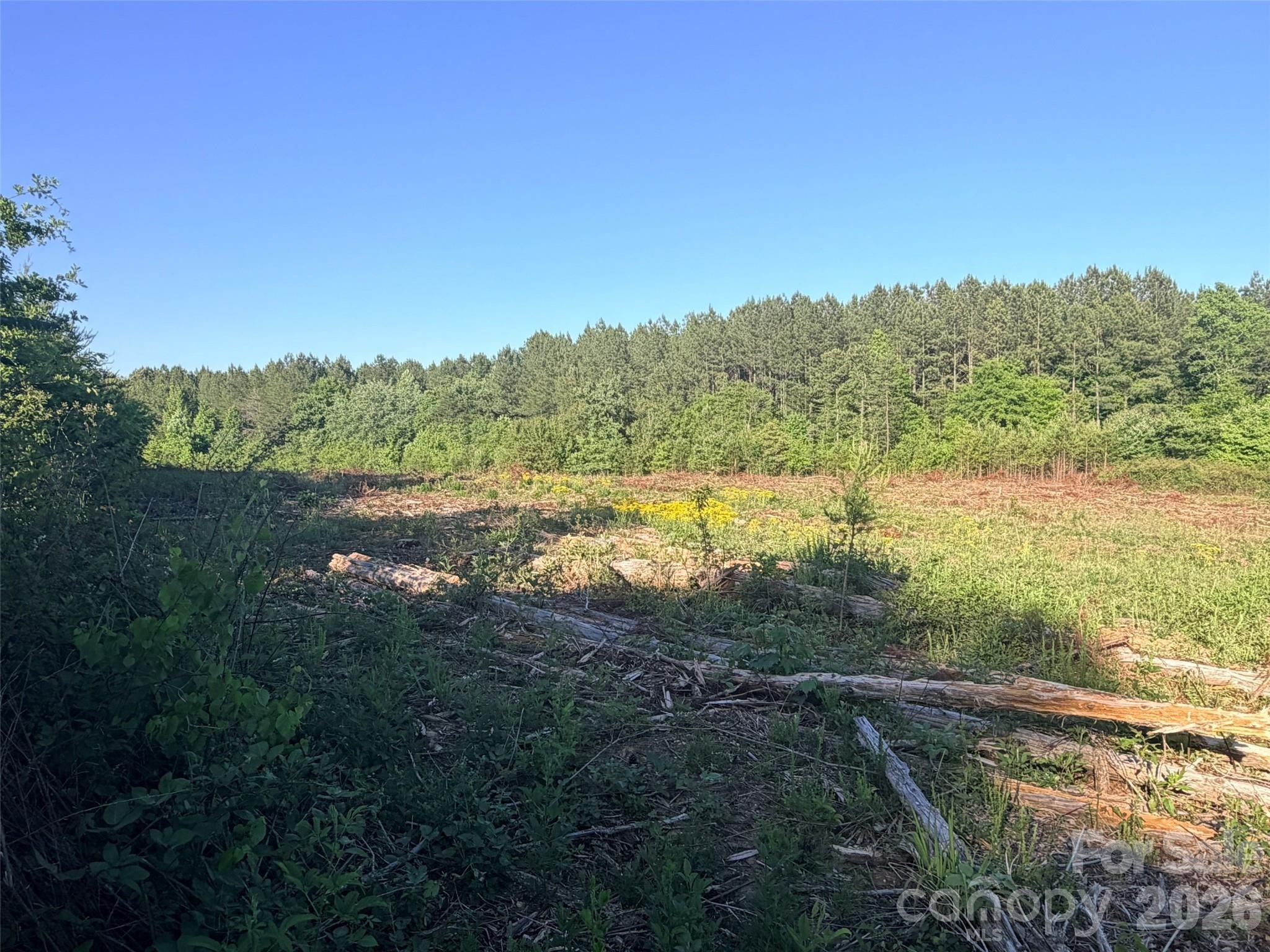 Unrestricted Land in Forest City