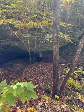 Wilder, TN Land with View