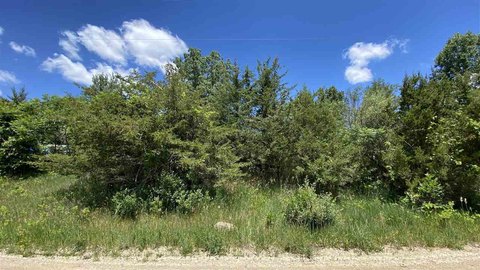 Lake Leann Access Lot