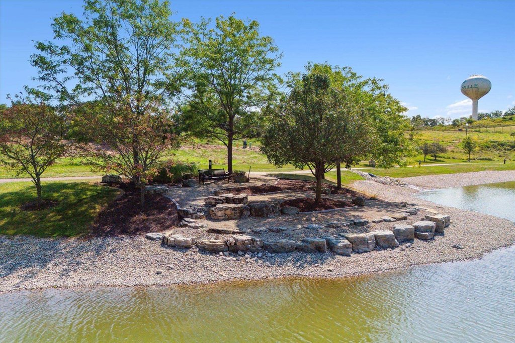 Picture 12