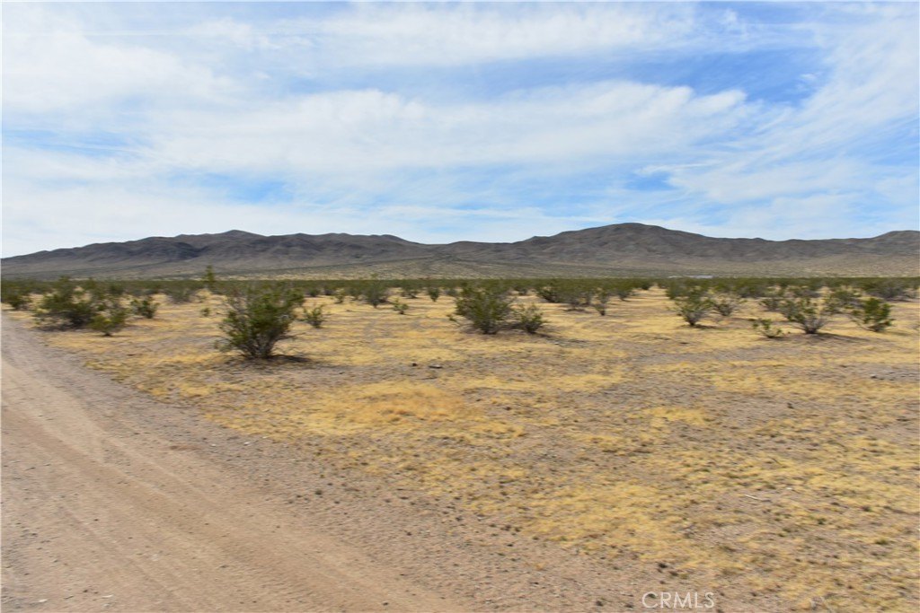Picture 9