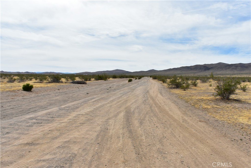 Picture 6