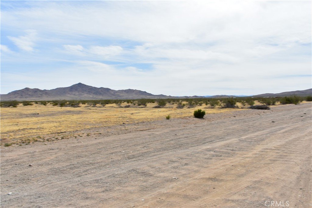 Picture 3