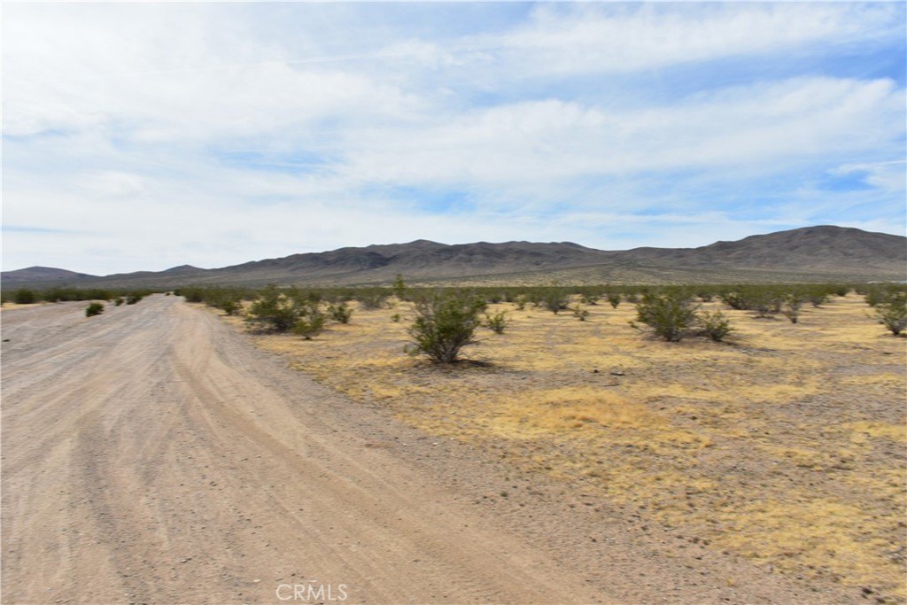 Picture 8