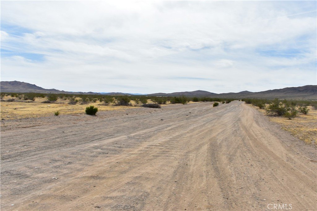 Picture 5