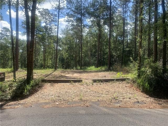 Land in Franklinton, Louisiana