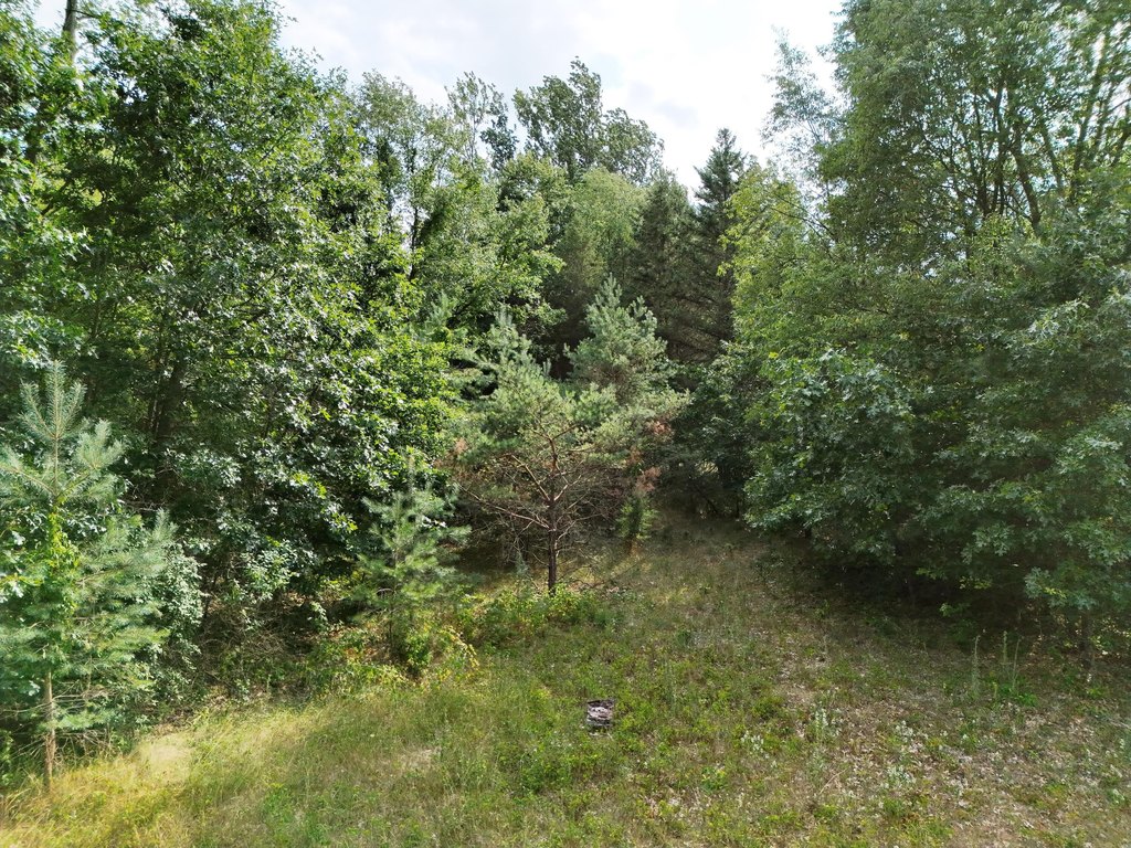 Picture 12