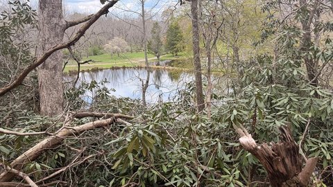 Gently Sloping Waterfront Build Site