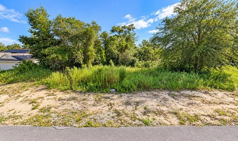 Land, SPRING HILL, FL