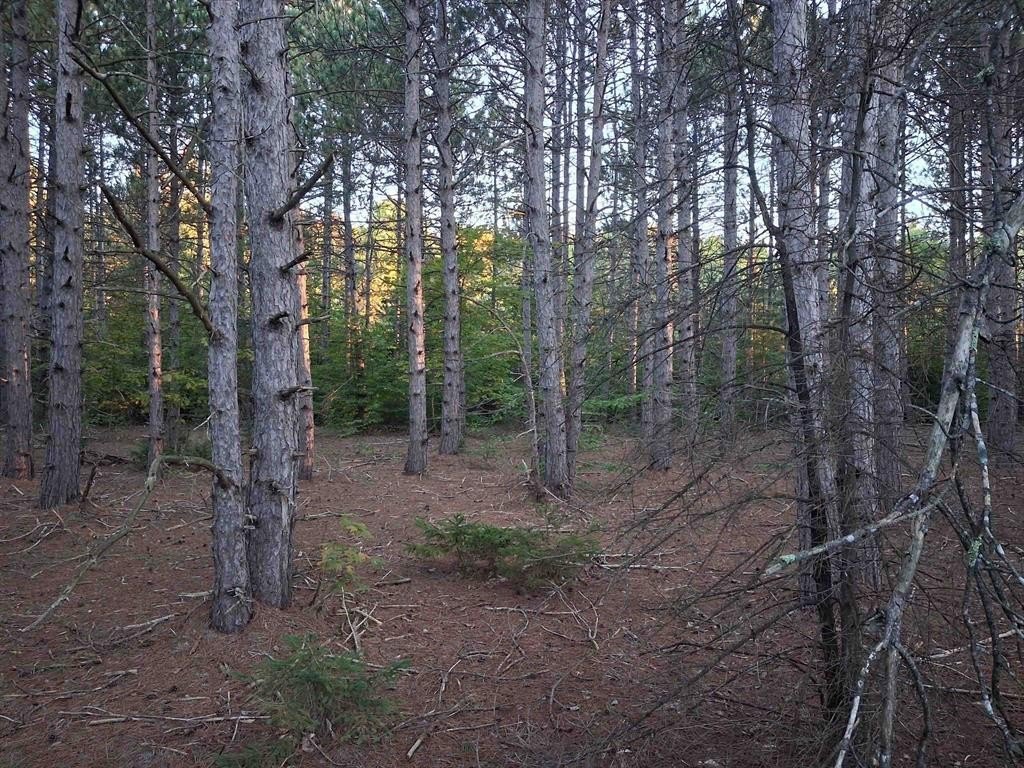 Picture 9