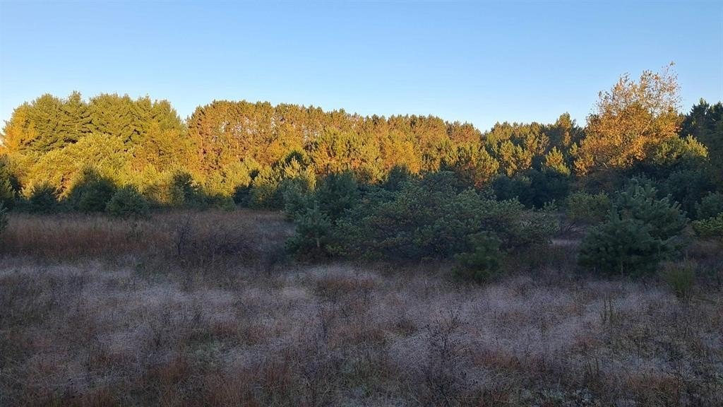 Picture 41