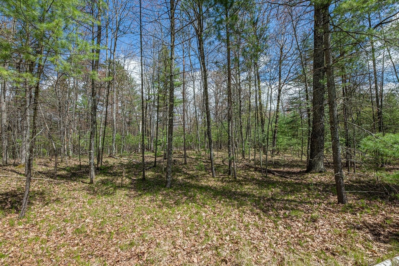 Eagle River Buildable Land