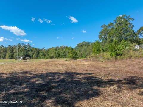 Opelousas Land Near I-49